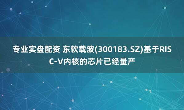 专业实盘配资 东软载波(300183.SZ)基于RISC-V内核的芯片已经量产
