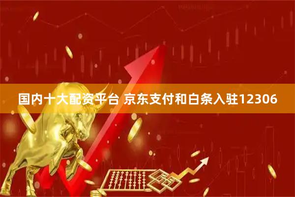 国内十大配资平台 京东支付和白条入驻12306